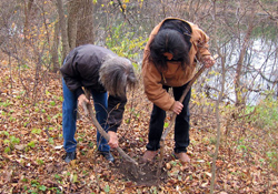 Volunteers planting trees