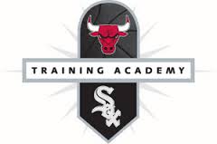 Bulls-Sox-Academy Logo