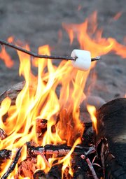 roasting marshmallow on a campfire