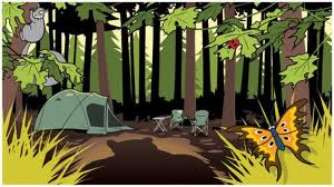Forest Camping Scene